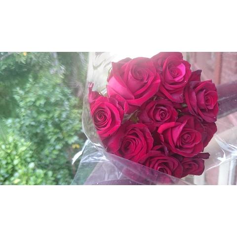 Red Roses 50cm